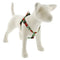 Lupine MicroBatch Step In Dog Harness 3/4" x 15"-21" Poinsettia - Poudre Pet & Feed Supply